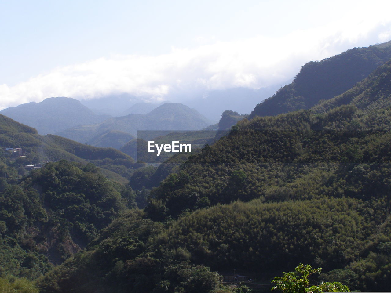 Countryside Day Geology Jungle Landscape Lush Foliage Majestic Mountain Mountain Range Nature Non-urban Scene Outdoors Physical Geography Pristine Remote Scenics Taiwan Mountains Taiwan's Spine Tranquil Scene Uninhabited Valley