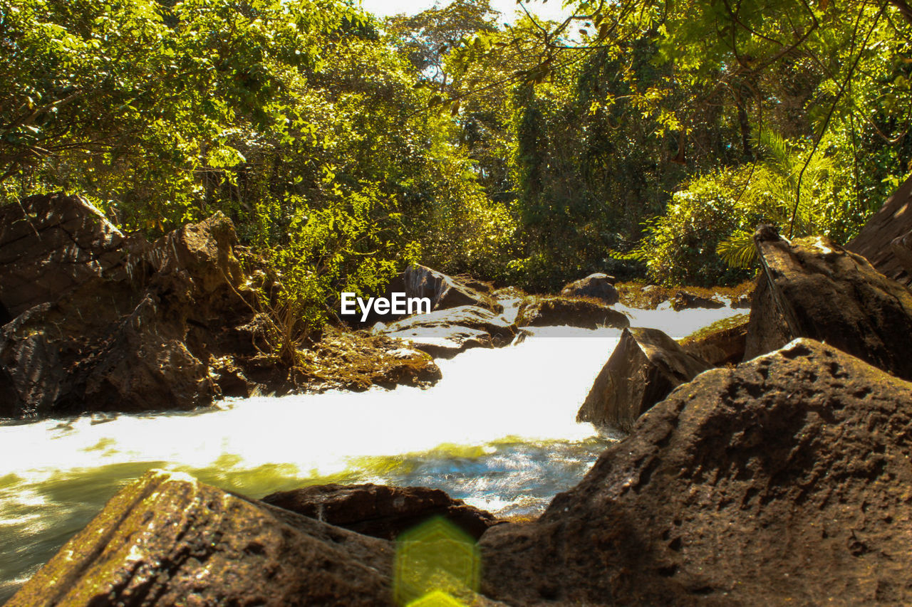 SCENIC VIEW OF RIVER AMIDST ROCKS IN FOREST