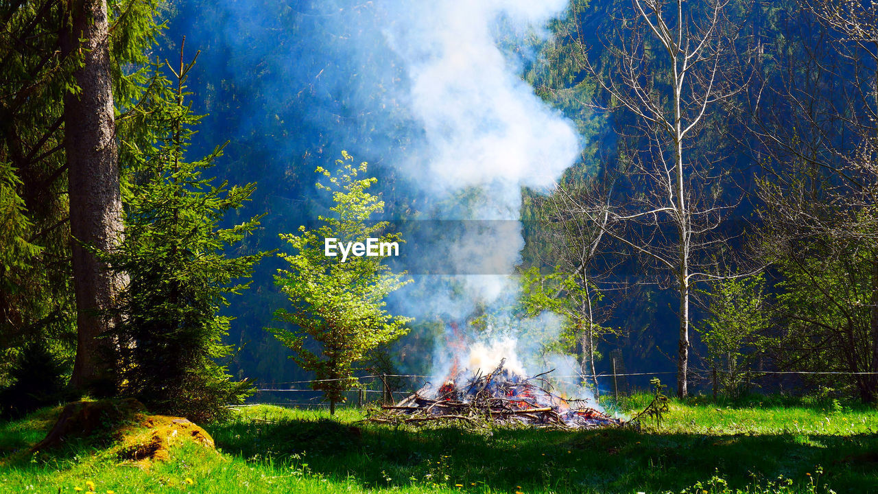 Fire in the woods