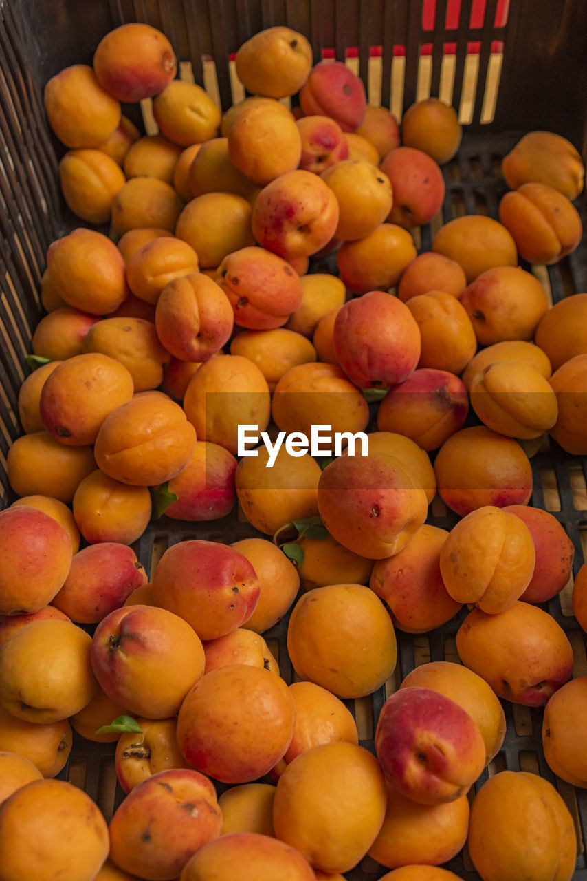 high angle view of lemons