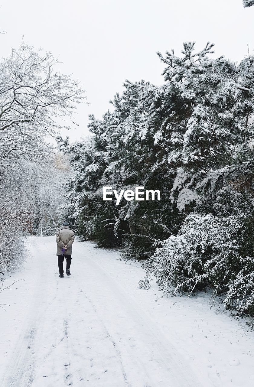 REAR VIEW OF PERSON WALKING ON SNOW COVERED TREES