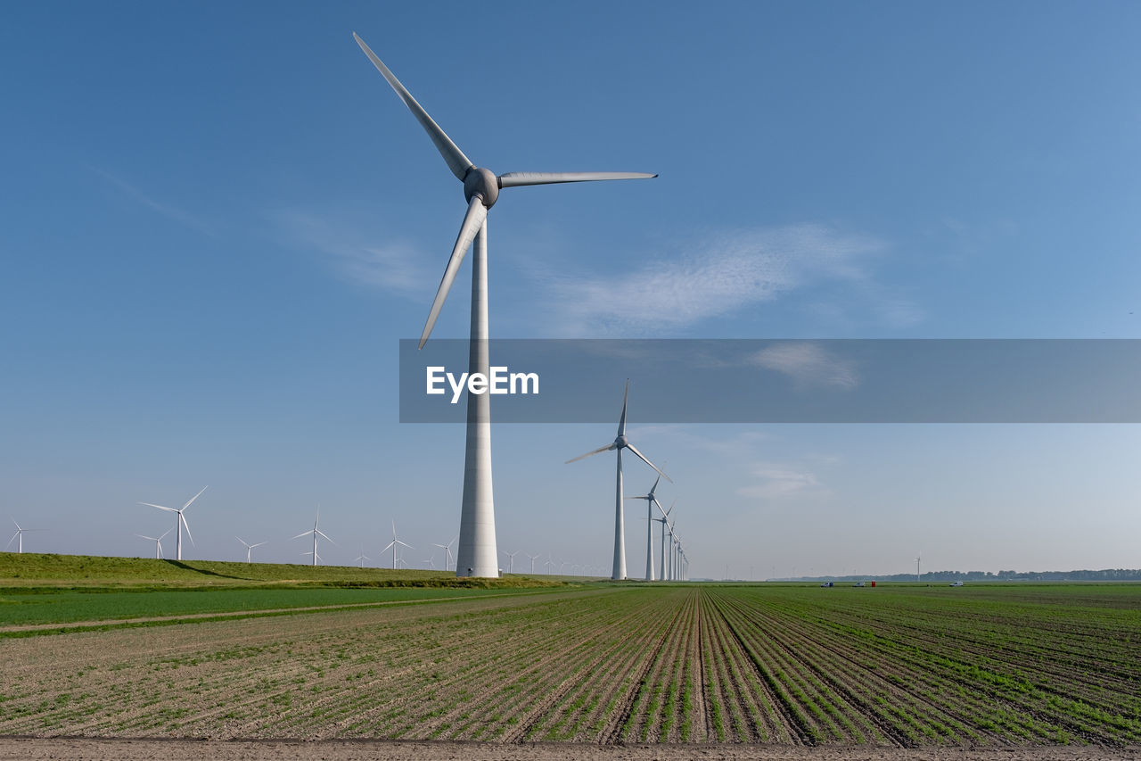 WIND TURBINES ON FIELD