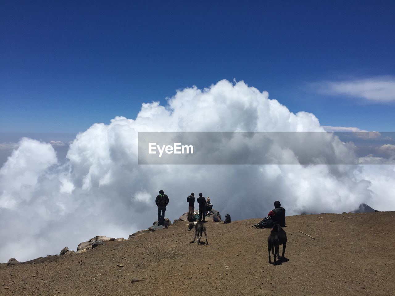 High angle view of people and dog on cliff against cloudy sky