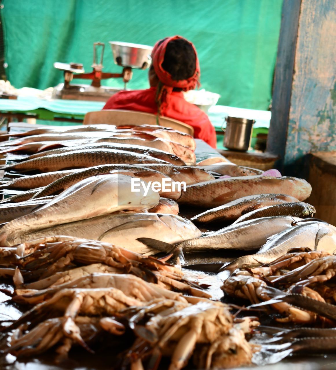 View of fish for sale at market