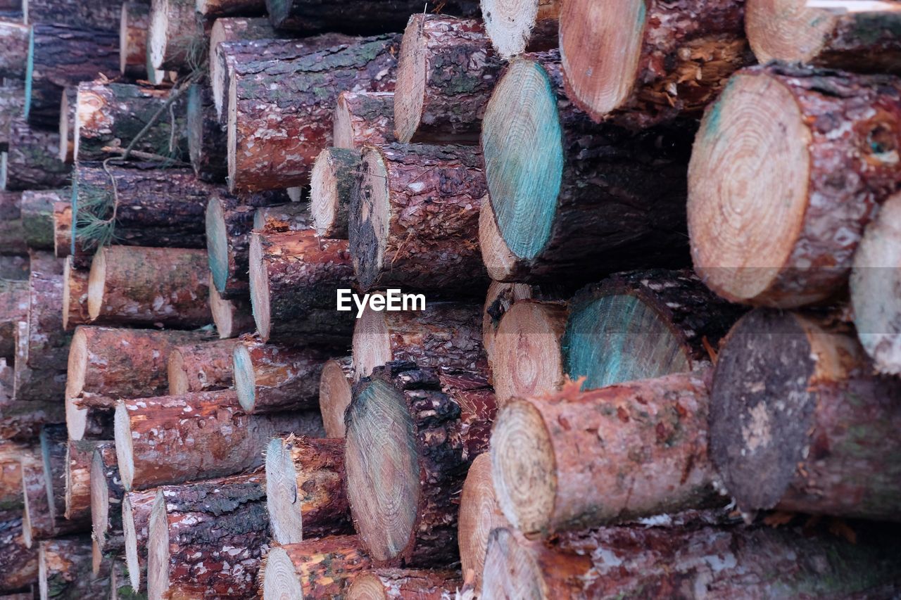 Full frame shot of logs pile