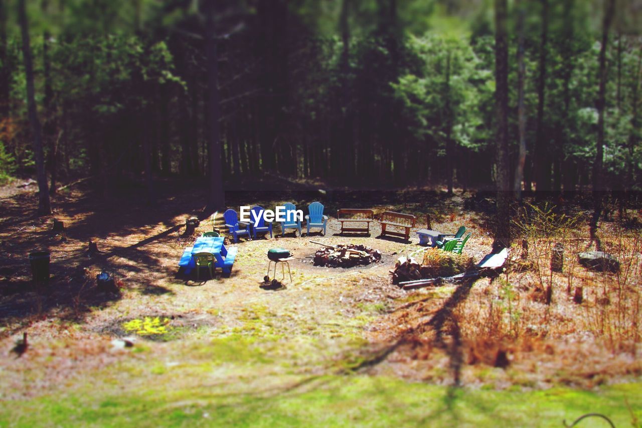 Tilt-shift image of chairs against trees at forest on sunny day