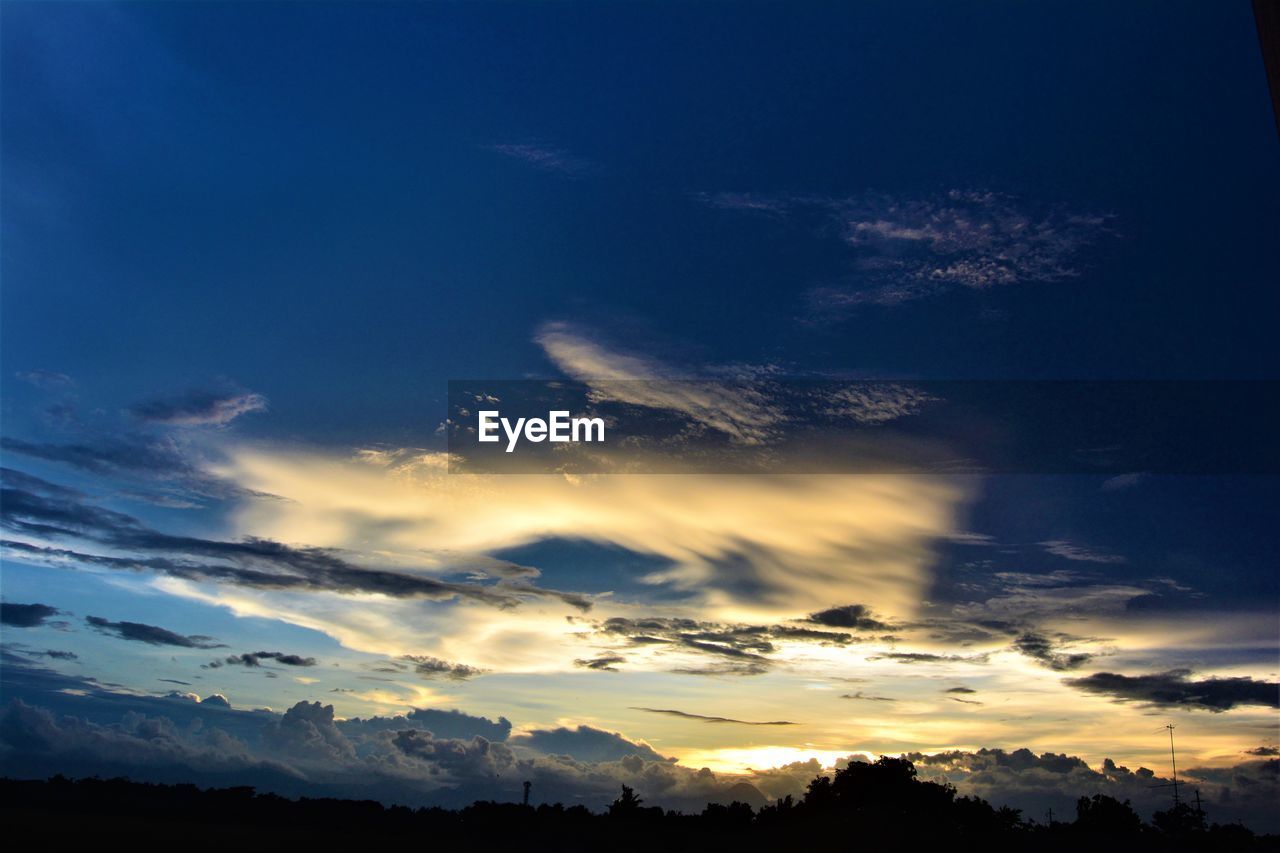 LOW ANGLE VIEW OF SILHOUETTE TREES AGAINST SKY DURING SUNSET