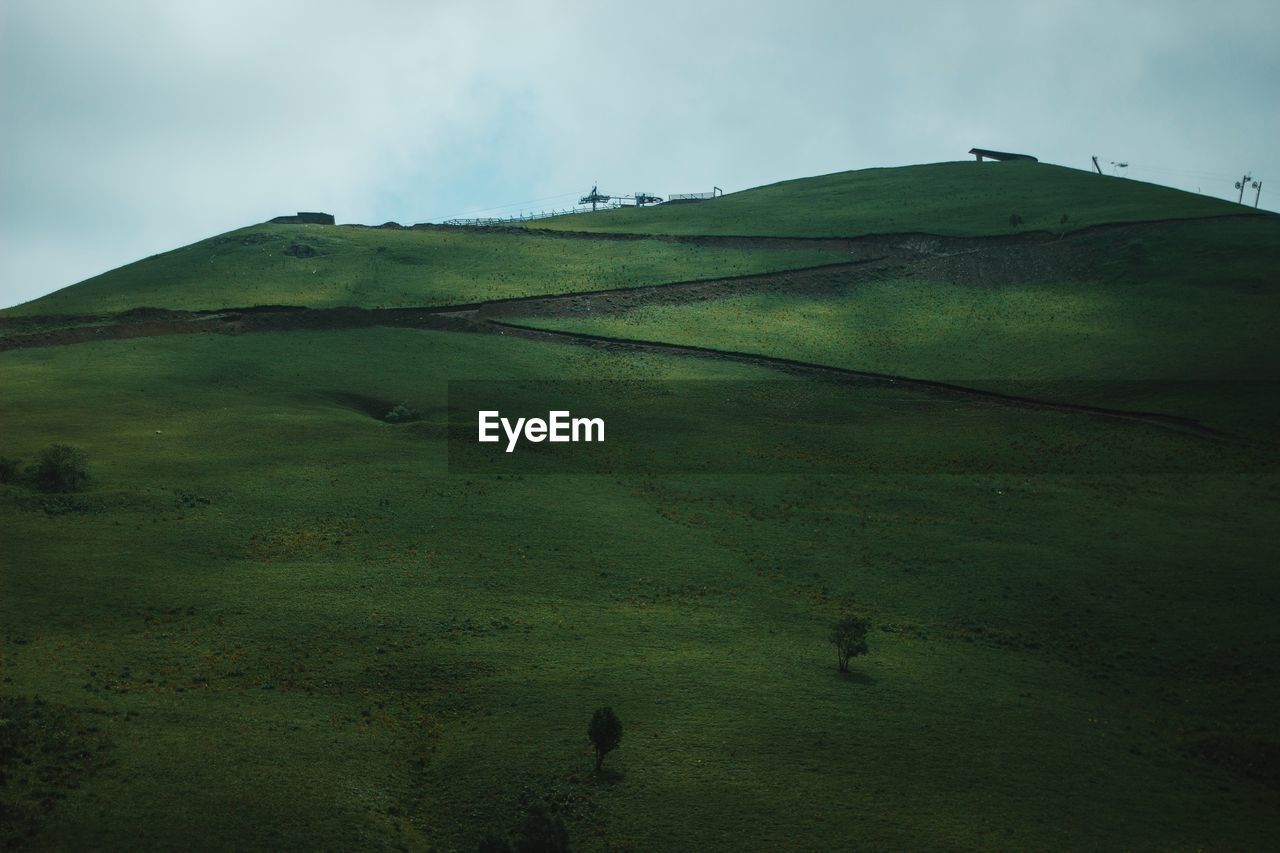 Scenic view of grassy field against sky