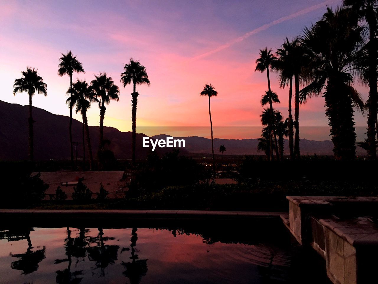 SILHOUETTE PALM TREES BY SWIMMING POOL AGAINST SKY