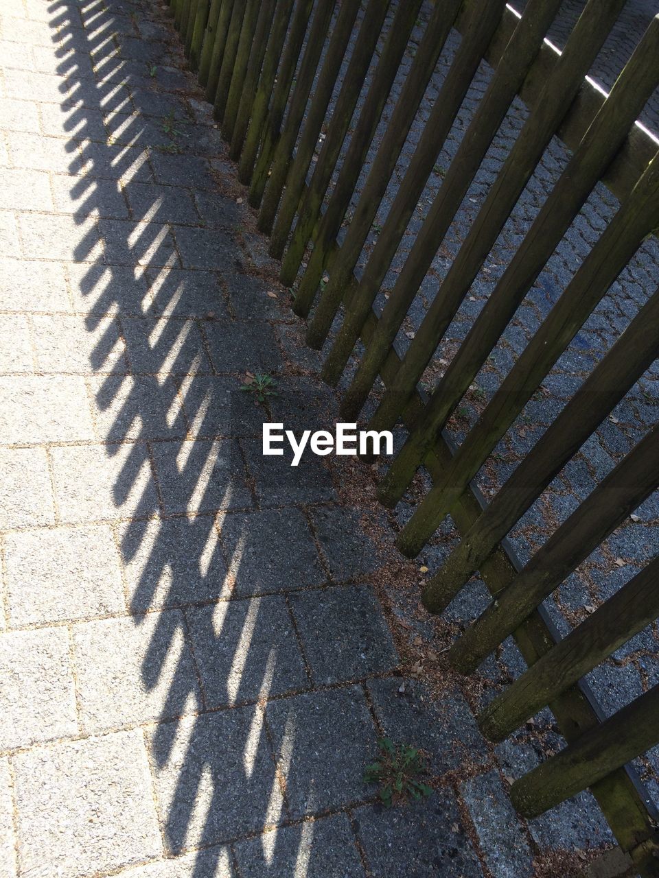 HIGH ANGLE VIEW OF PLANTS ON FOOTPATH