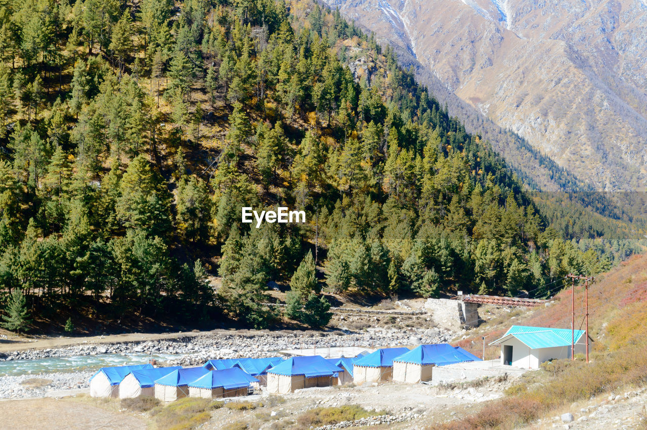 High angle view of baspa river camp area in chitkul against pine trees in forest