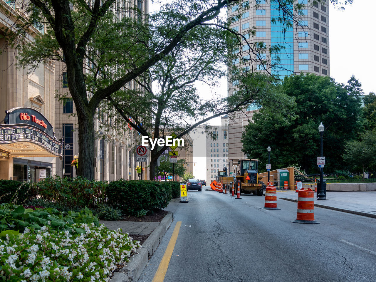 ROAD BY TREES AND BUILDINGS AGAINST CITY