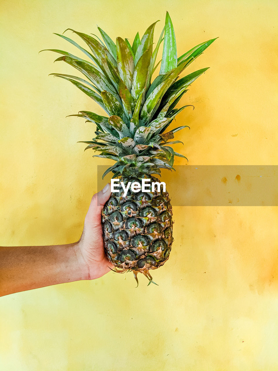 Midsection of person holding fruit pineapple against wall