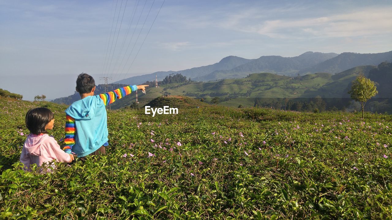 Scenic view of grassy field against sky