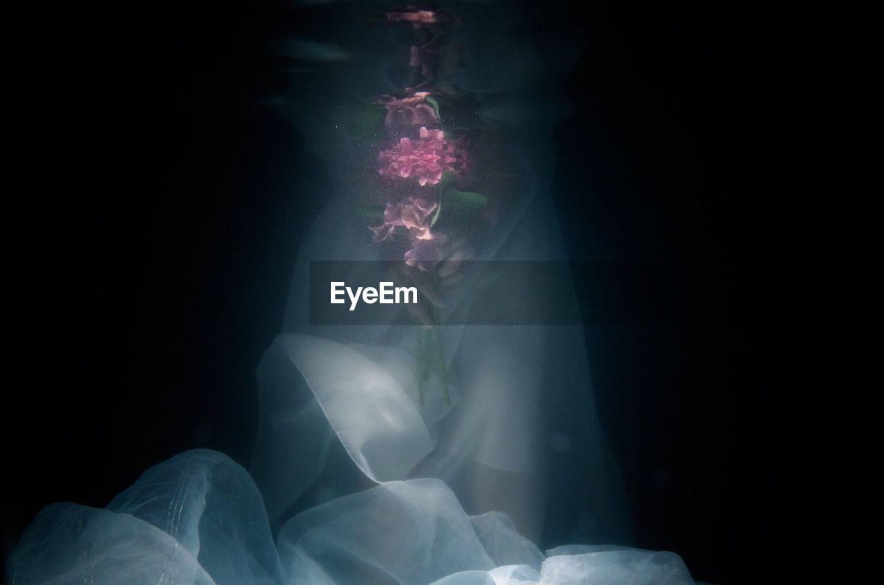 Low section of woman swimming in illuminated water at night