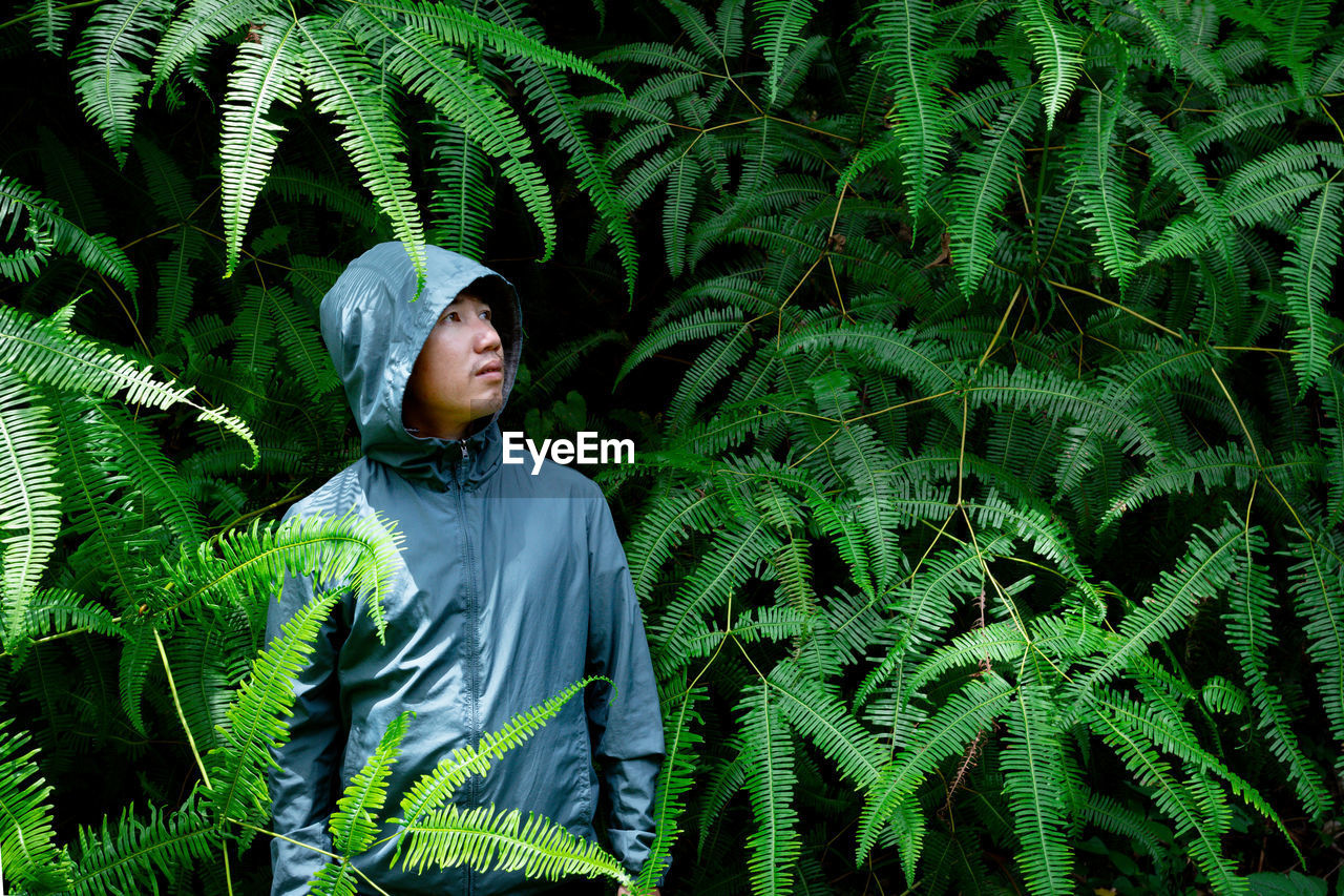 Man in green hoodie with zipper standing in bush of fresh firn leaves