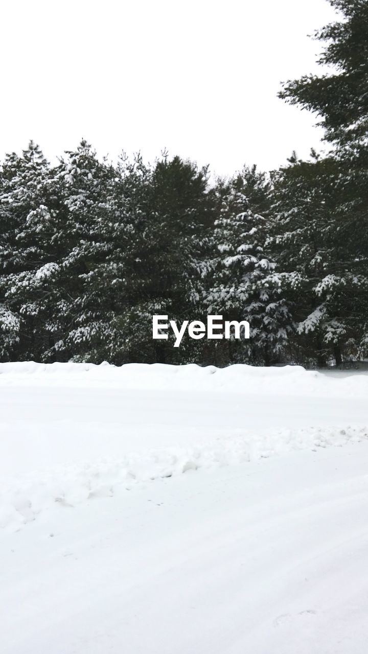 TREES ON SNOWY LANDSCAPE AGAINST SKY