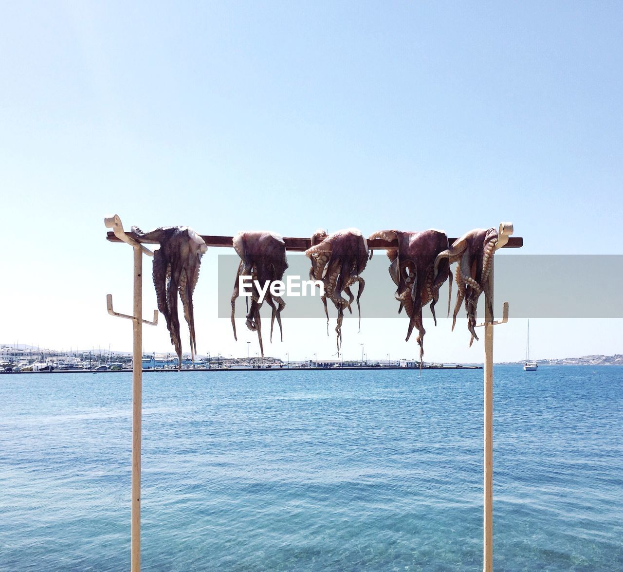 Octopuses hanging on rod by sea against clear blue sky