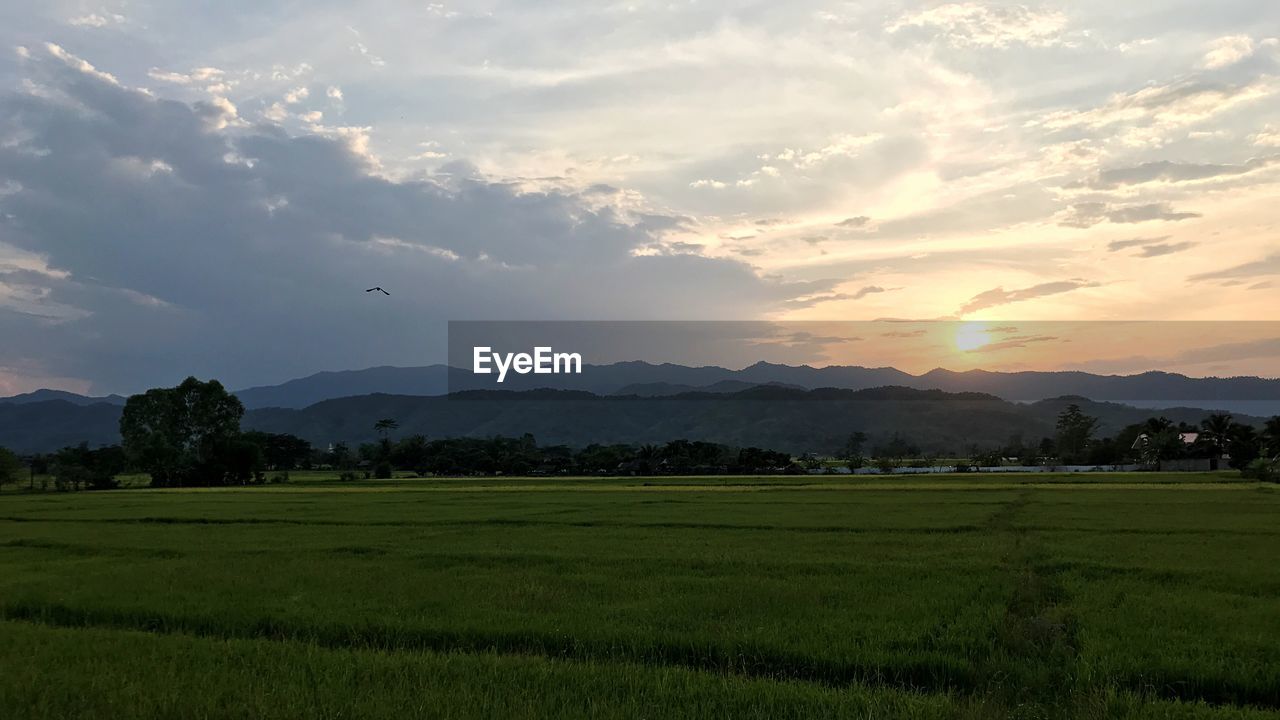 SCENIC VIEW OF FIELD AGAINST SKY AT SUNSET