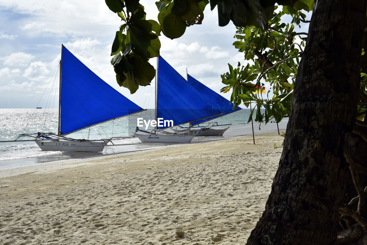 water, beach, nature, sea, land, tree, sky, plant, sand, no people, day, cloud, vehicle, sailing, sailboat, outdoors, blue, nautical vessel, ocean, beauty in nature, boat, sunlight, environment, wind, tranquility, scenics - nature, transportation, ship, travel, tropical climate, tranquil scene, holiday, summer