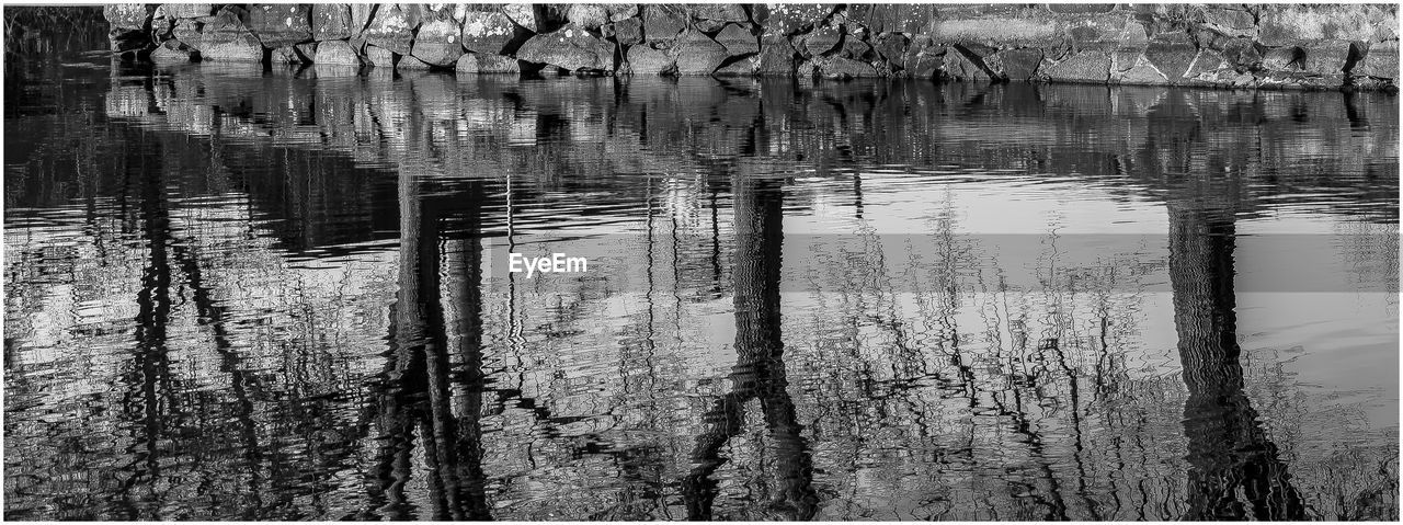 HIGH ANGLE VIEW OF PLANTS IN LAKE