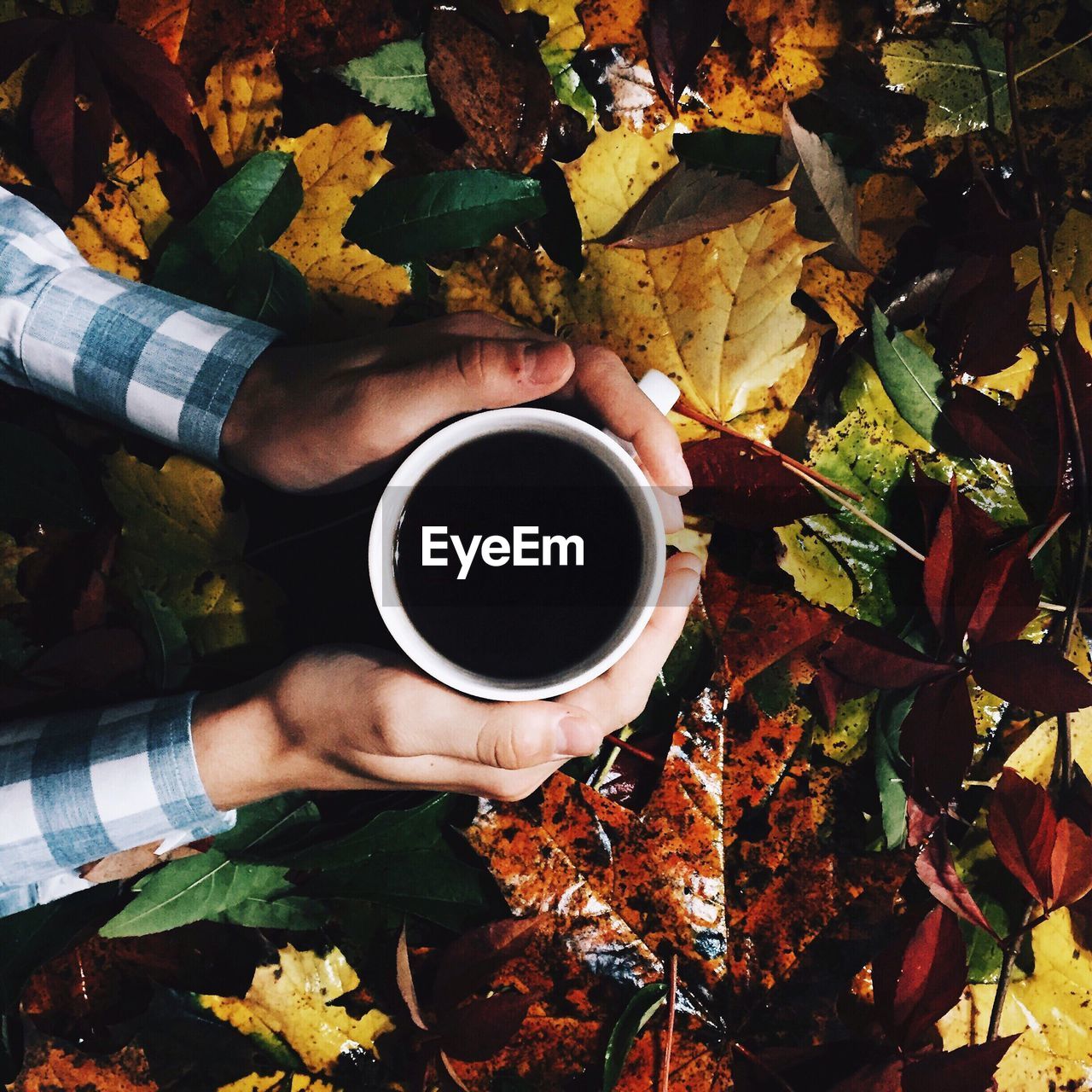 Cropped hands holding coffee cup over leaves
