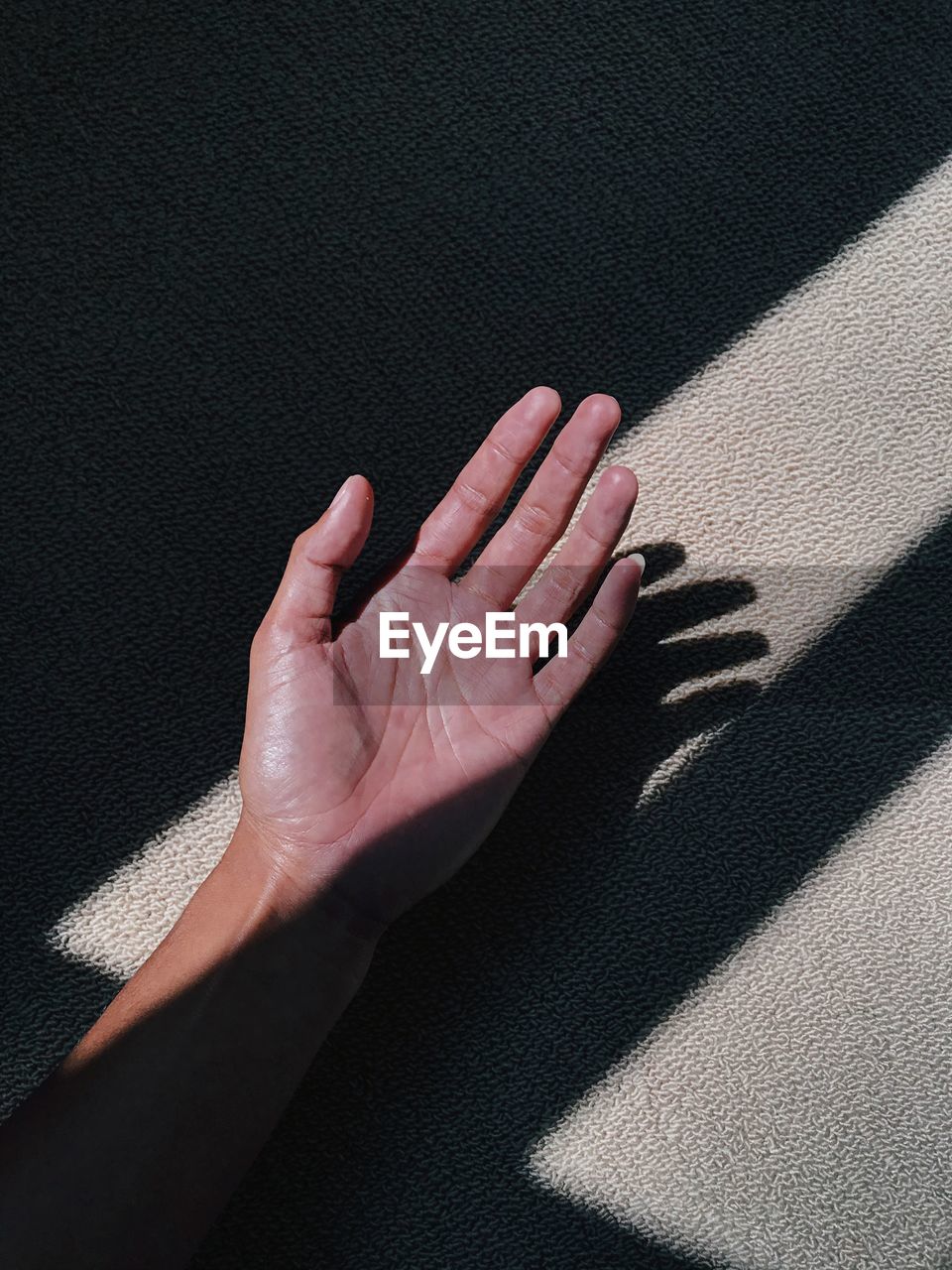 High angle view of human hand on shadow