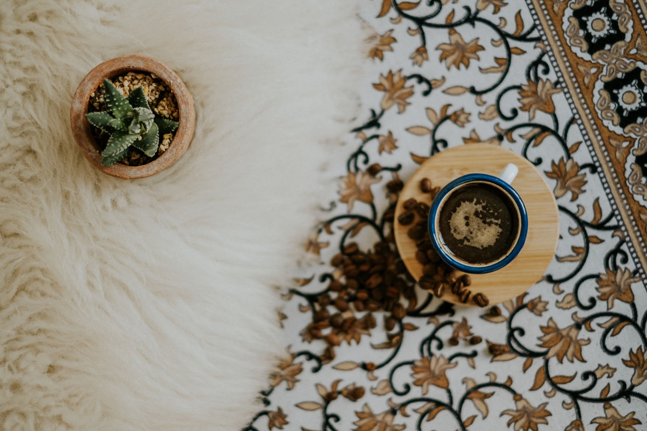 High angle view of coffee by succulent plant on table