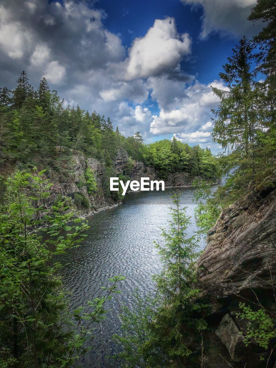 SCENIC VIEW OF RIVER FLOWING AMIDST TREES AGAINST SKY