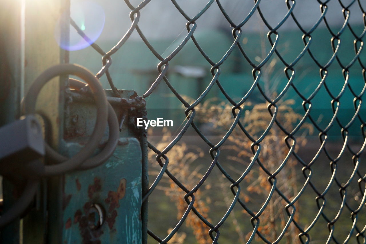 Close-up of fence