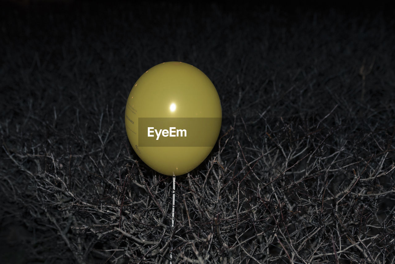 Close-up of yellow balloon on grass at night