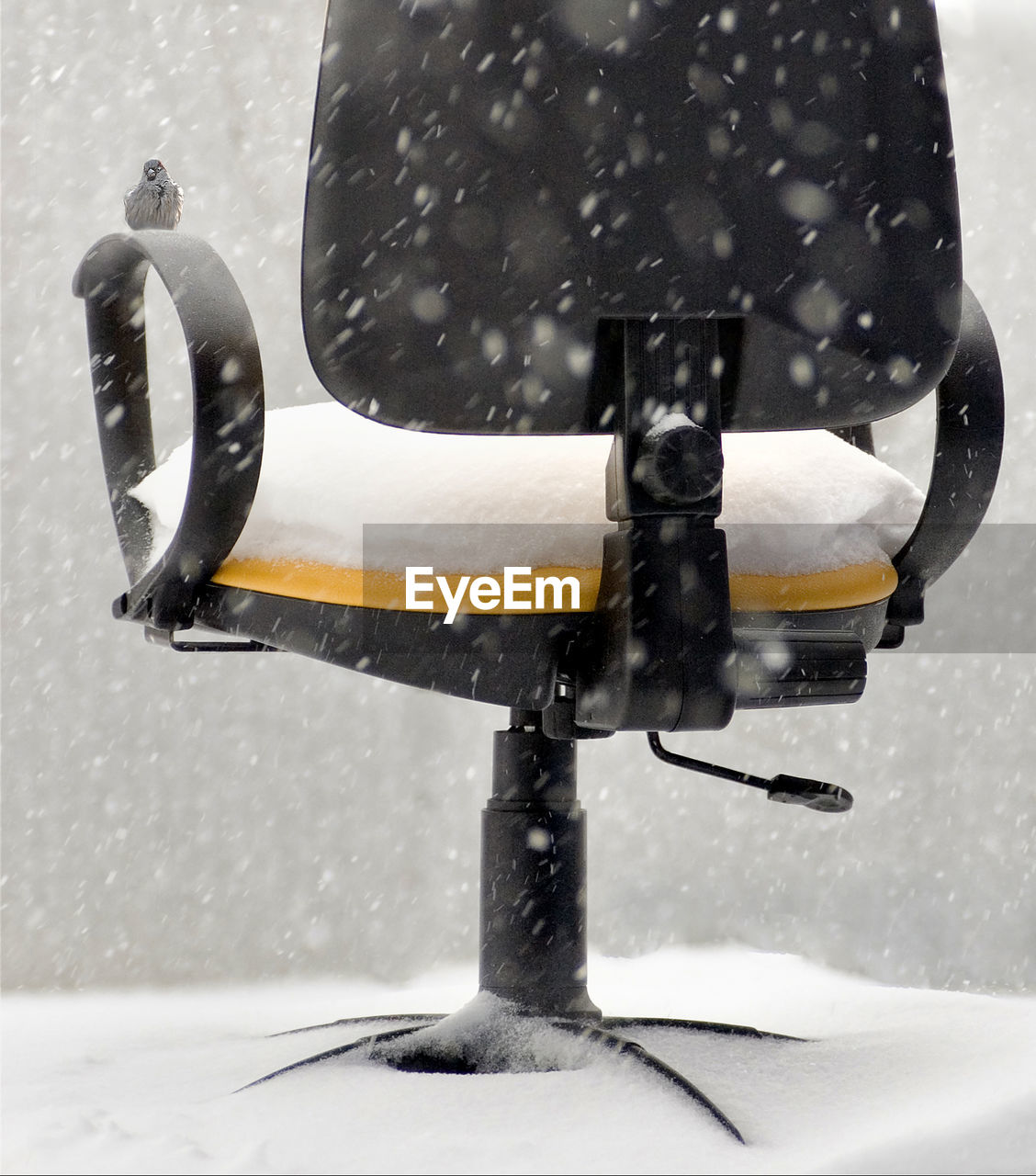 CLOSE-UP OF SNOW COVERED CAR