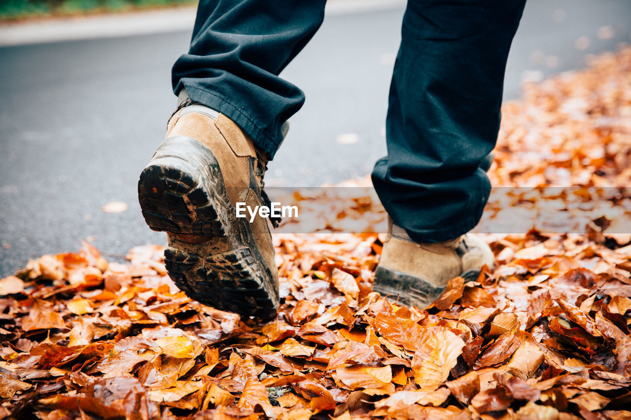 Low section of man walking on dry leaves