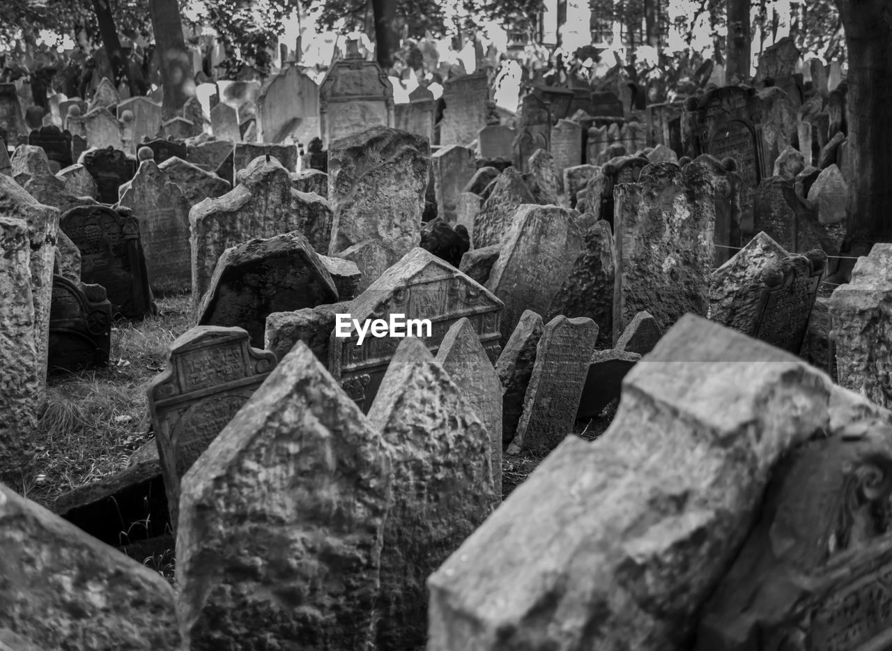 FULL FRAME SHOT OF CEMETERY