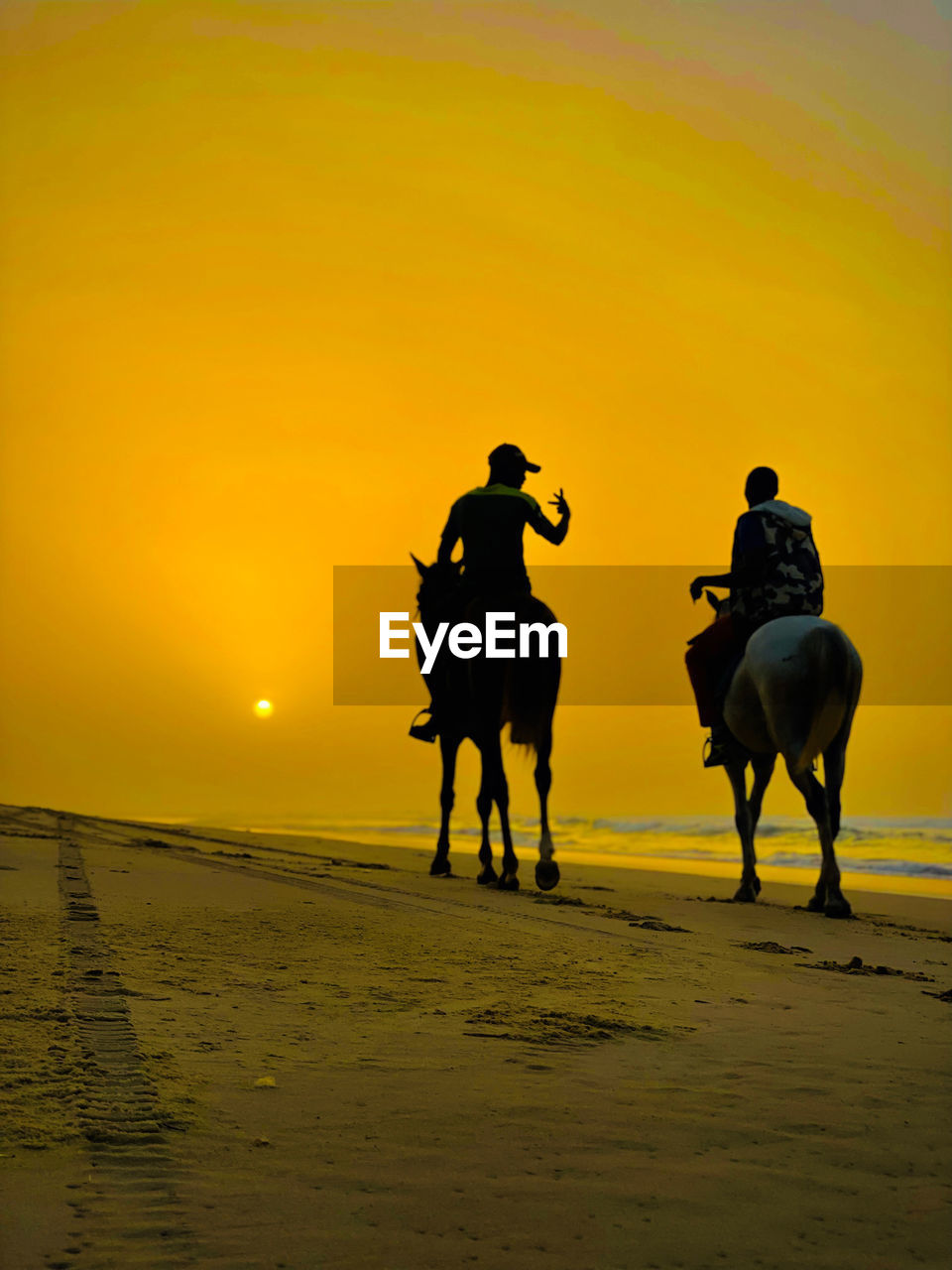 rear view of people walking on beach against sky during sunset