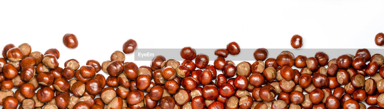 Chestnuts as border or panorama, isolated with white background