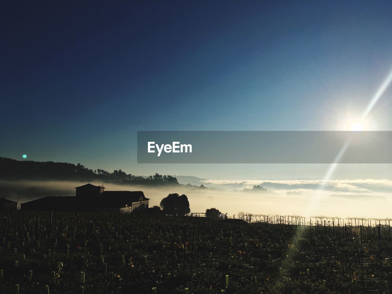 SCENIC VIEW OF FIELD AGAINST BRIGHT SKY