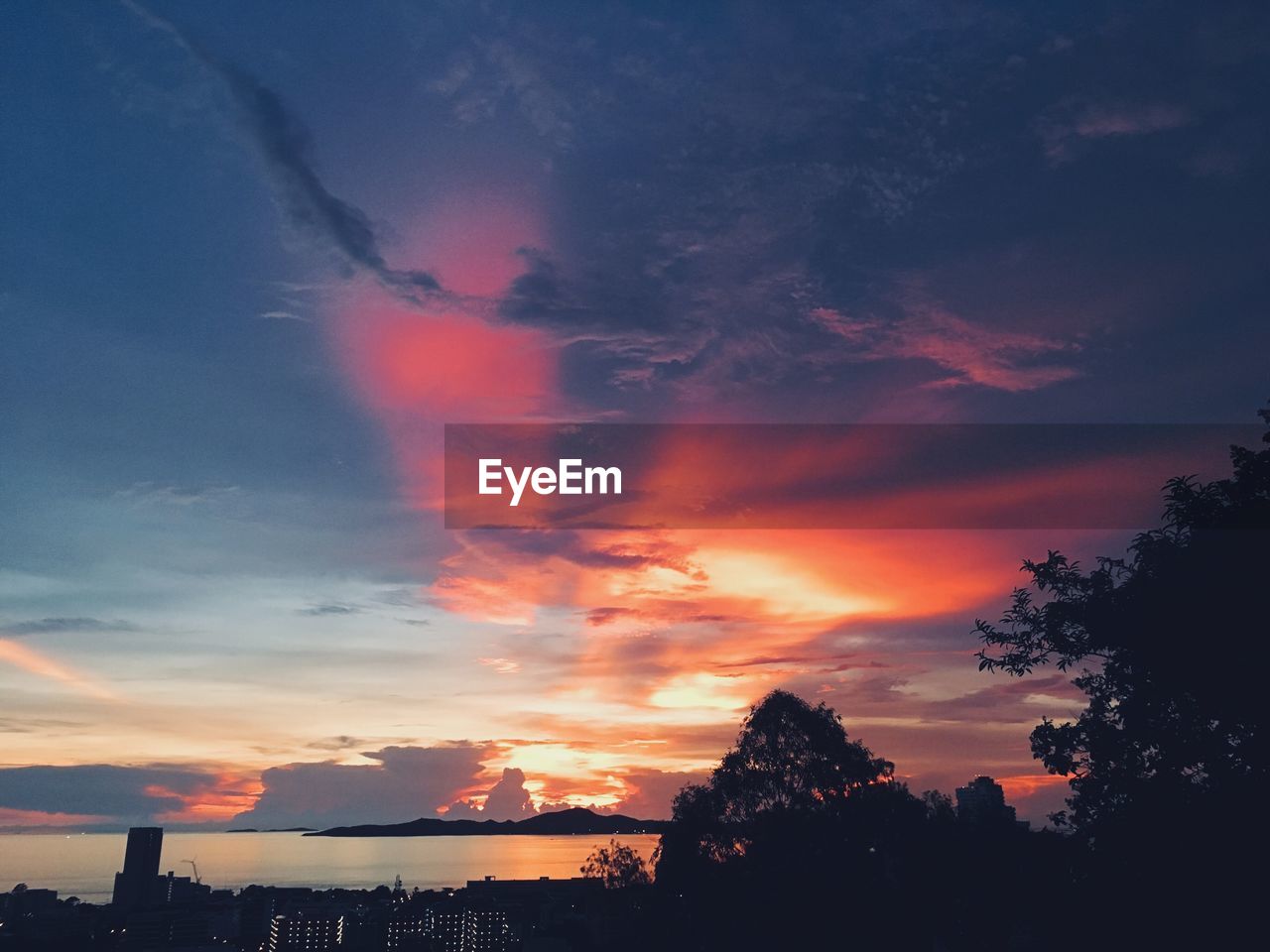 Low angle view of silhouette trees against sky during sunset