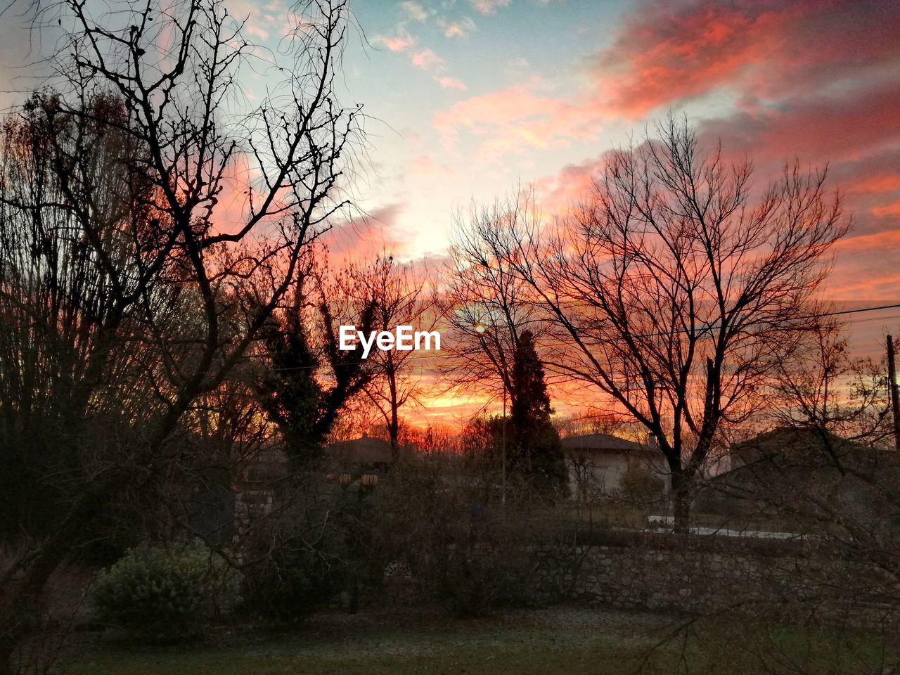 BARE TREES AGAINST SKY DURING SUNSET