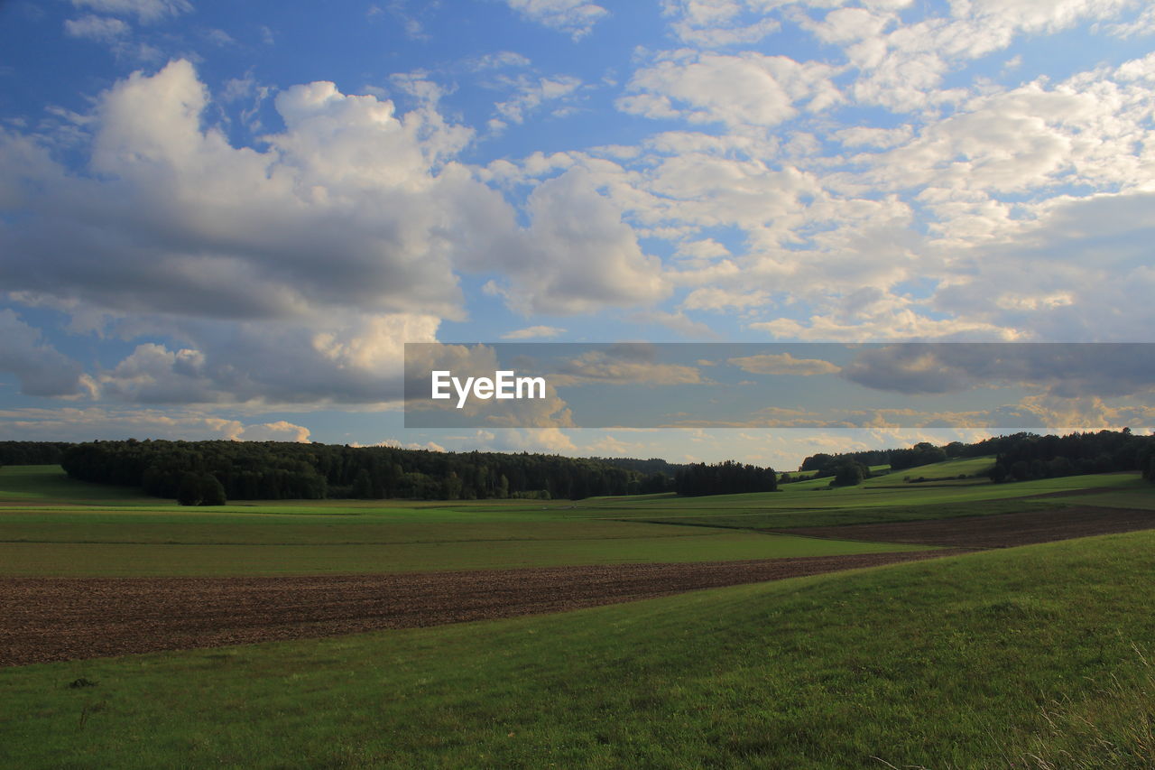 sky, landscape, cloud, environment, horizon, plant, field, land, plain, grassland, nature, grass, scenics - nature, beauty in nature, rural scene, prairie, tranquility, no people, agriculture, green, rural area, hill, tranquil scene, tree, day, growth, outdoors, sunlight, cloudscape, non-urban scene, blue, morning, summer, meadow, idyllic