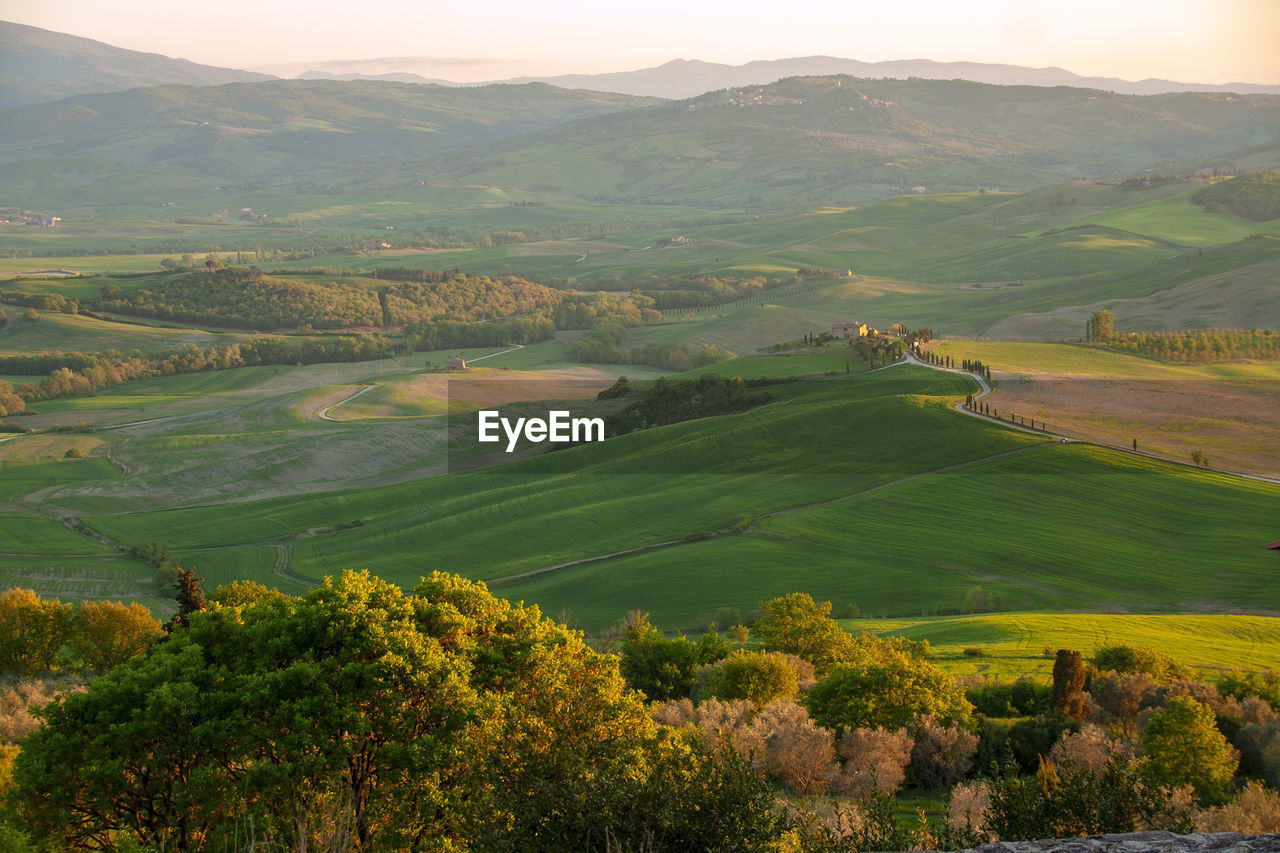 High angle view of agricultural field