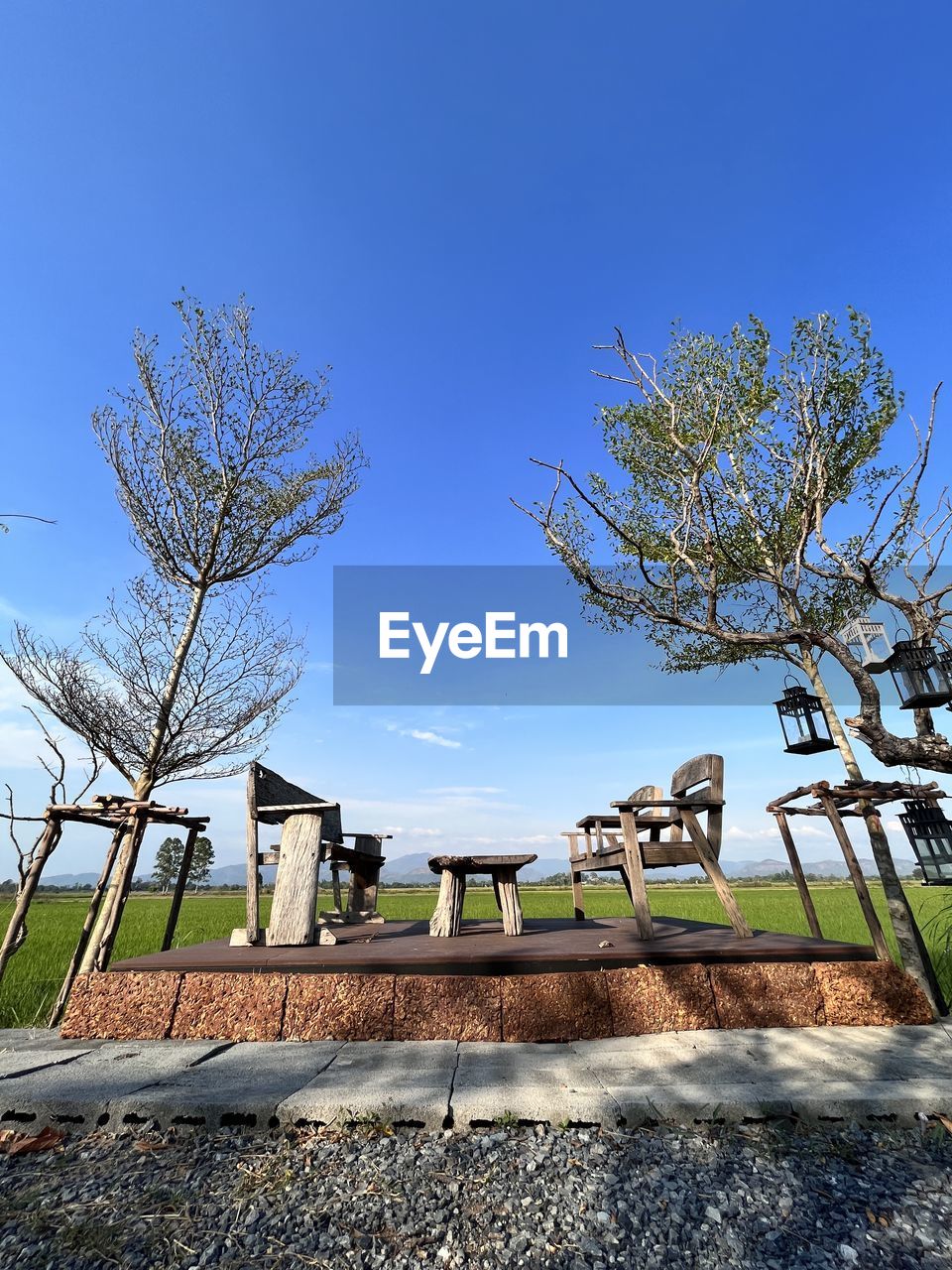 tree, plant, sky, nature, architecture, blue, built structure, clear sky, day, reflection, building exterior, no people, low angle view, outdoors, branch, building, sunlight, city, sunny, leaf, flower