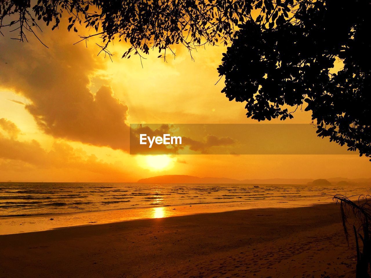 View of calm beach at sunset