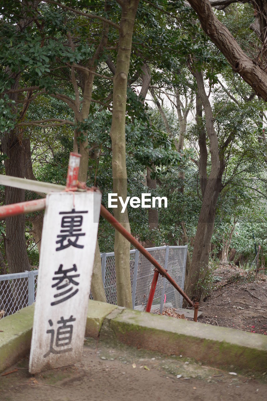 INFORMATION SIGN BY TREE IN FOREST