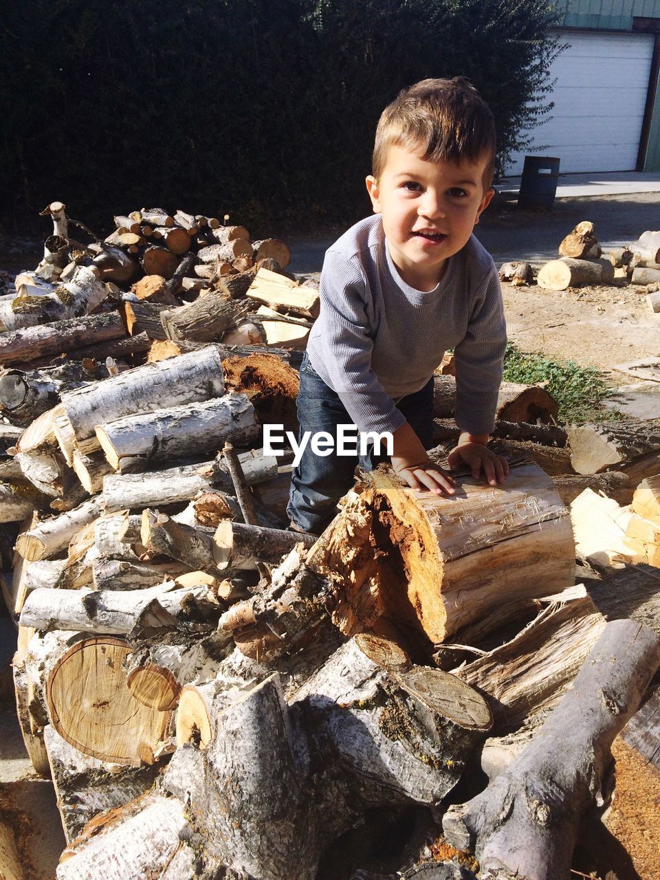 Portrait of boy standing on logs