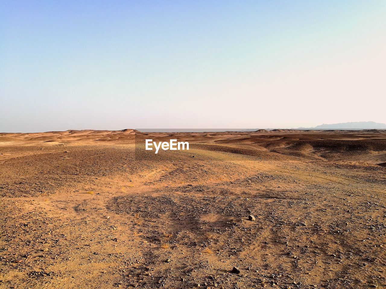 SCENIC VIEW OF SAND DUNE AGAINST CLEAR SKY