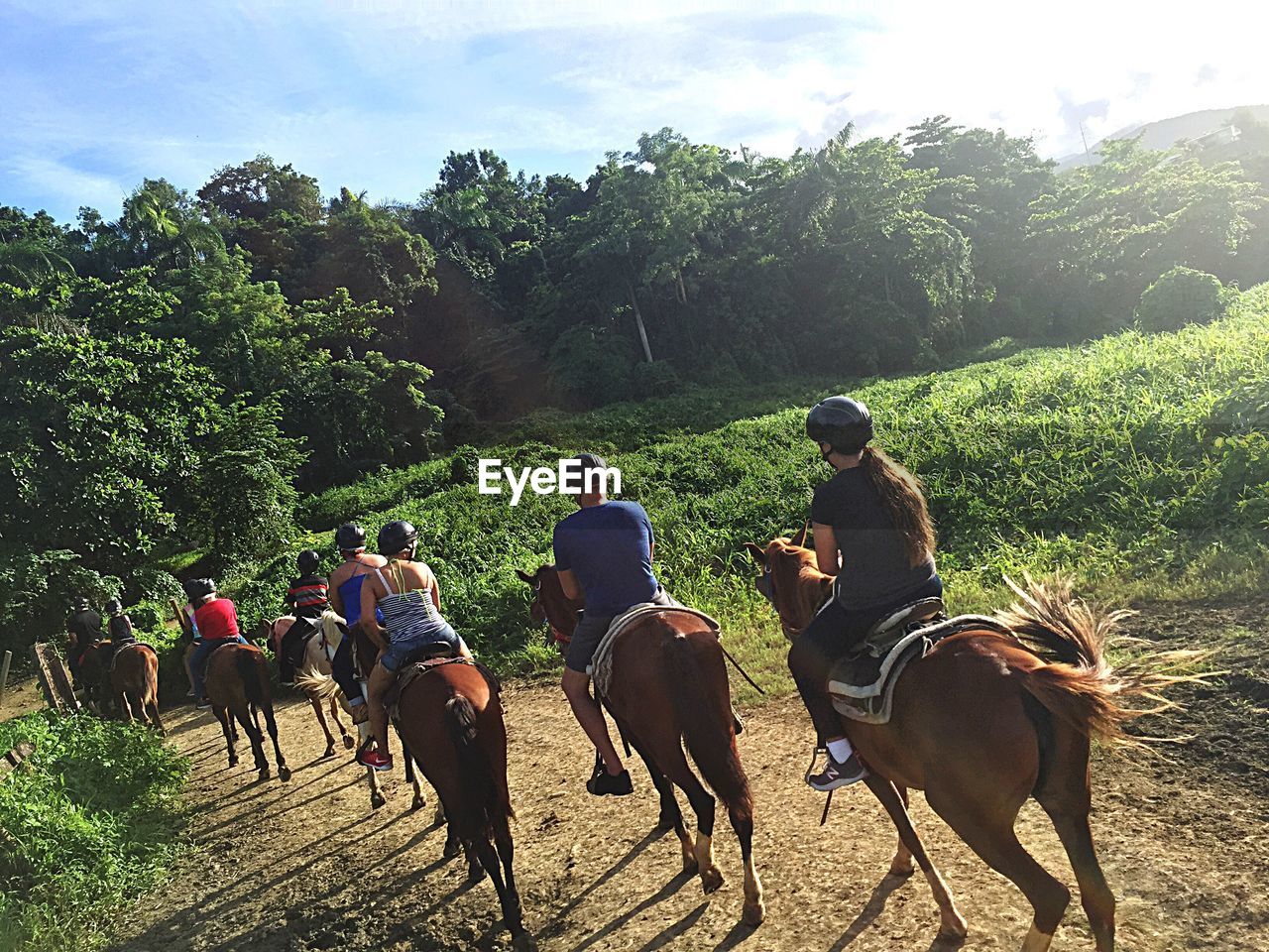 REAR VIEW OF PEOPLE RIDING HORSES ON TREE