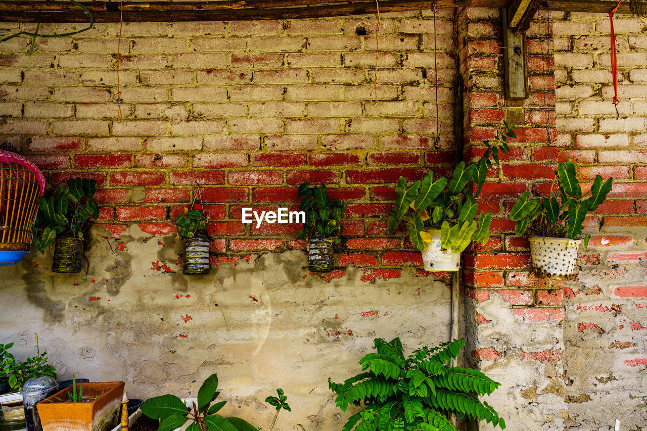 POTTED PLANTS AGAINST WALL