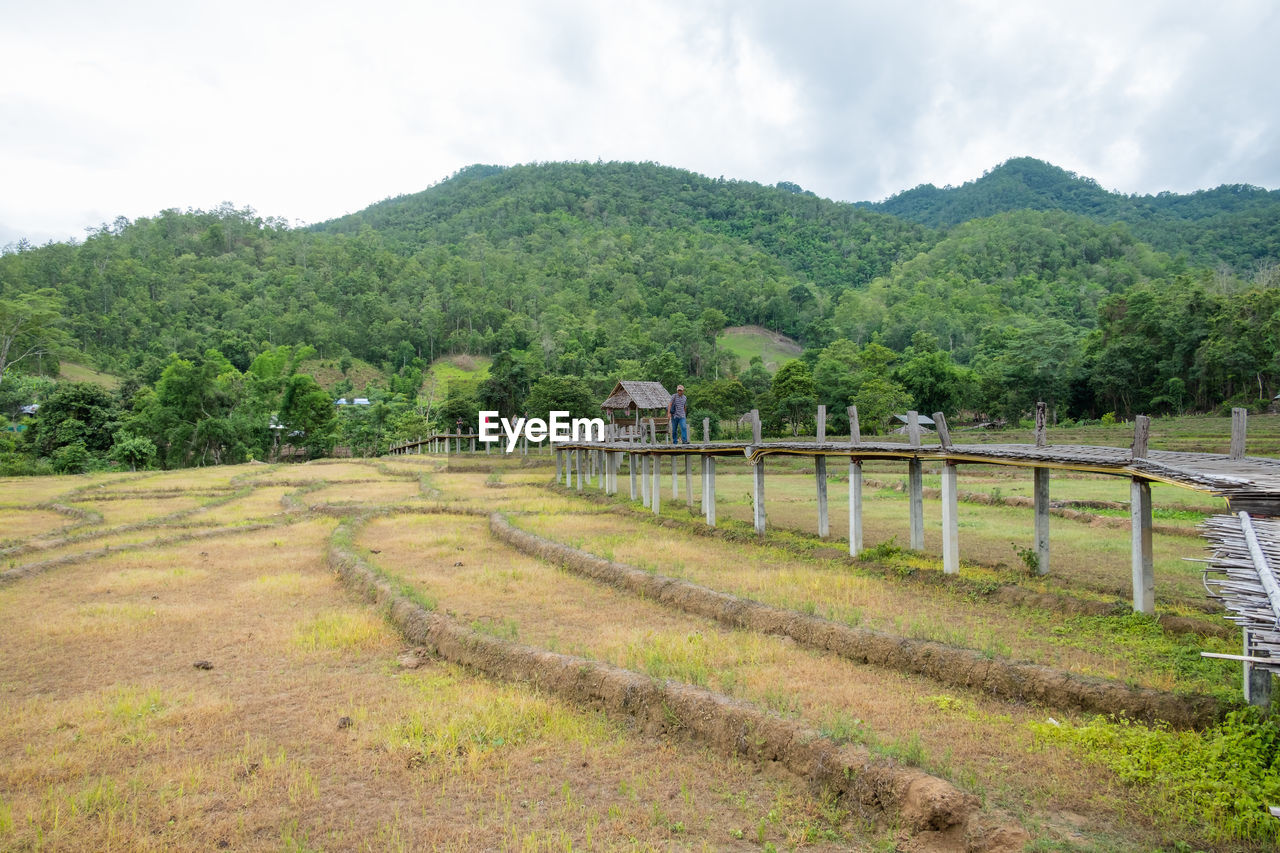 SCENIC VIEW OF LANDSCAPE