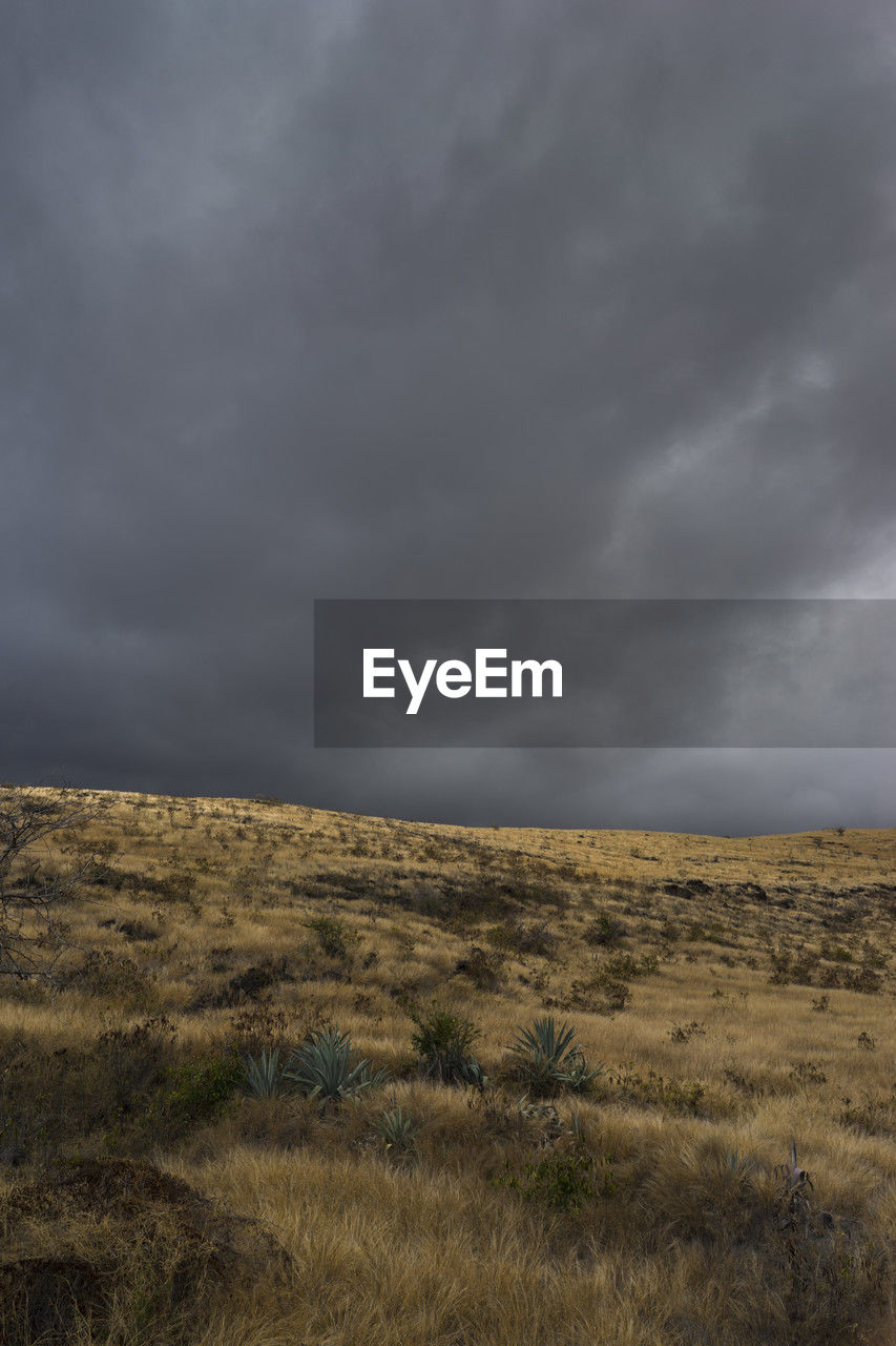 cloud, sky, environment, landscape, natural environment, beauty in nature, horizon, scenics - nature, nature, land, grass, storm, plant, hill, no people, tranquility, storm cloud, steppe, plain, overcast, non-urban scene, prairie, tranquil scene, dramatic sky, grassland, remote, outdoors, day, rock, wilderness, field, horizon over land, plateau, cloudscape, soil